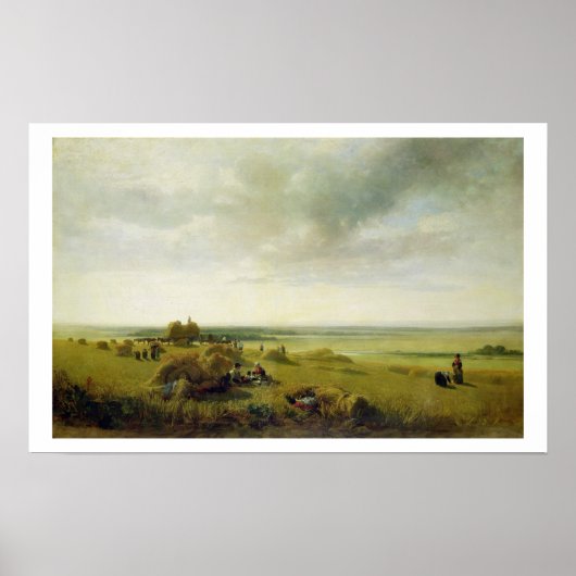 Een cornveld poster (Voorkant)