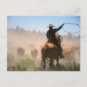 Een cowboy die buiten werkt met de kudde op een ve briefkaart