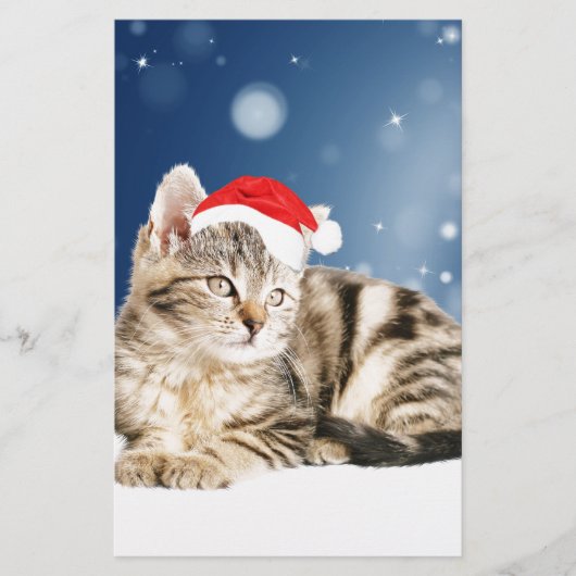 Een Cute Cat met een rode kerstkerstkleed Briefpapier (Voorkant)