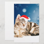 Een Cute Cat met een rode kerstkerstkleed Briefpapier (Voorkant / Achterkant)