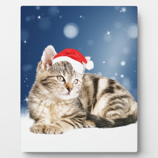 Een Cute Cat met een rode kerstkerstkleed Fotoplaat (Voorkant)