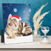 Een Cute Cat met een rode kerstkerstkleed Fotoplaat (Zijkant)