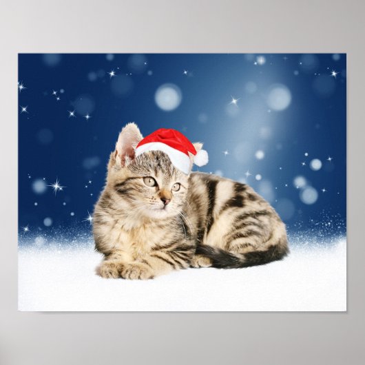 Een Cute Cat met een rode kerstkerstkleed Poster (Voorkant)