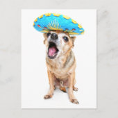 Een Cute Chihuahua in een halloween kostuum Briefkaart (Voorkant)