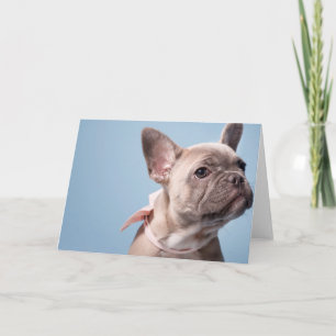 Een Cute French Bulldog Kaart