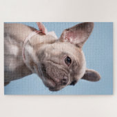 Een Cute French Bulldog Legpuzzel (Horizontaal)