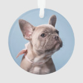 Een Cute French Bulldog Ornament (achterkant)
