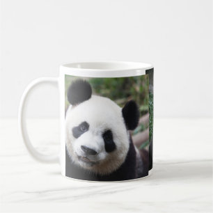 Een Cute Panda mok! Koffiemok