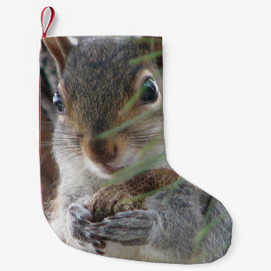 Een Cute Squirrel met Peanut Woodland Natuur Roden Kleine Kerstsok