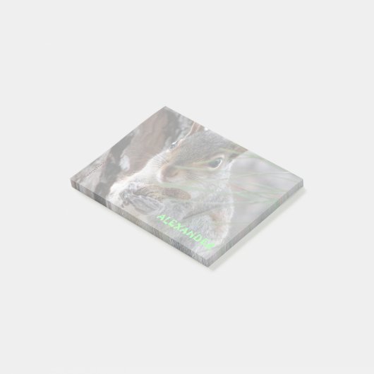 Een Cute Squirrel met pinda's op maat Post-it® Notes (Schuin)