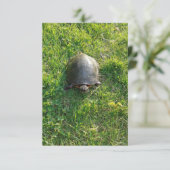 Een Cute Turtle in Park Blank Flat Card (Staand voorkant)
