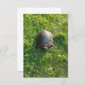 Een Cute Turtle in Park Blank Flat Card (Voorkant / Achterkant)