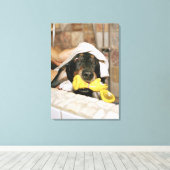 Een dachshund die wordt gebaad. canvas afdruk (Insitu (Houten vloer))