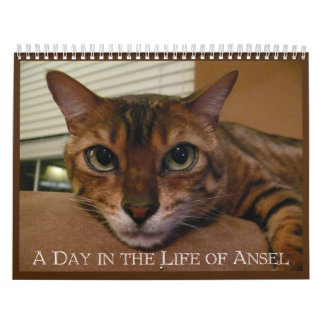Een Dag in het leven van de Kalender van Ansel - 2