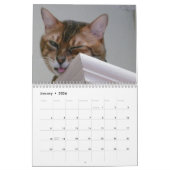 Een Dag in het leven van de Kalender van Ansel - 2 (Jan 2026)