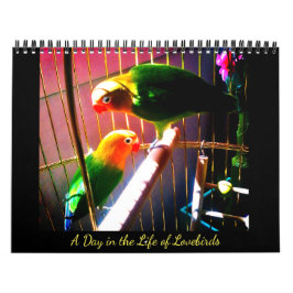 Een dag in het leven van de vogels kalender