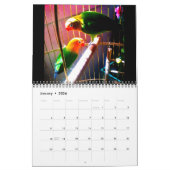 Een dag in het leven van de vogels kalender (Jan 2026)