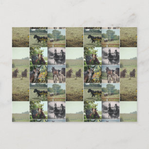 Een dag in Kalona, Iowa Briefkaart