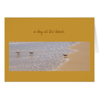 Een dag op het strand