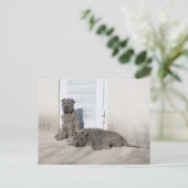 Een dag tegelijk... briefkaart (Staand voorkant)