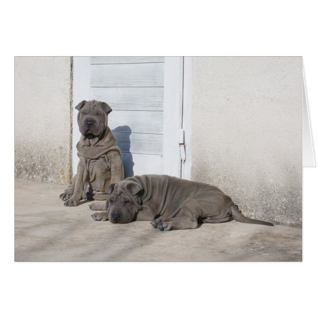 Een dag voor een keer... (Voorkant Horizontaal)