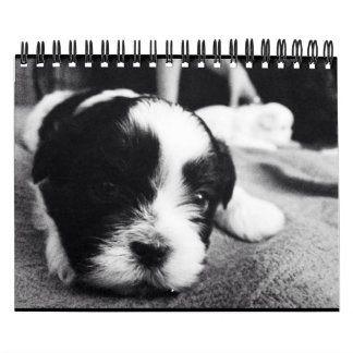 Een dagelijkse dosis Panda Kalender