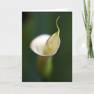 Een dame in wit kaart