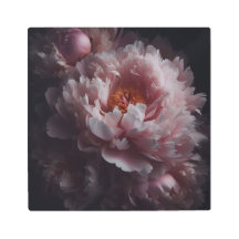 Een dans van betoverde pioenroodblaadjes in scheme