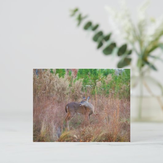 Een Deer in de Tall Grass Briefkaart (Staand voorkant)