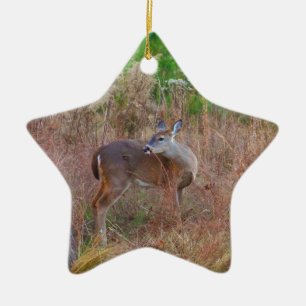 Een Deer in de Tall Grass Keramisch Ornament