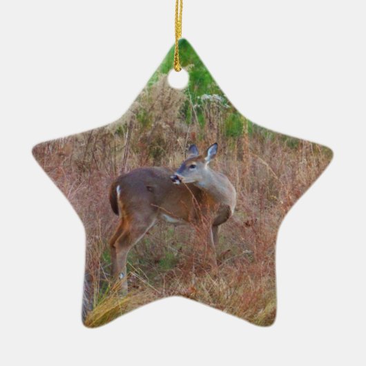 Een Deer in de Tall Grass Keramisch Ornament (Voorkant)