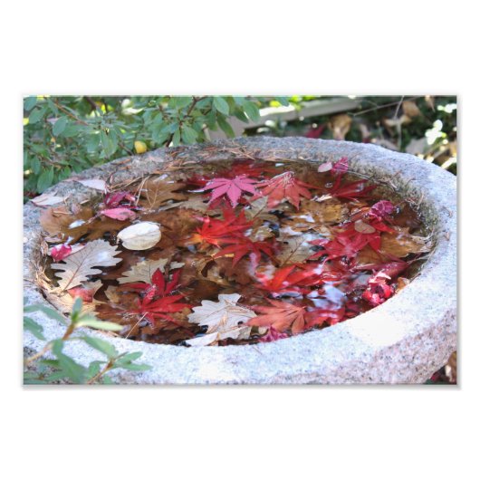 Eén dienst in het najaar foto afdruk (Voorkant)