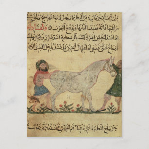 Een dierenarts die een merrie helpt bevallen briefkaart