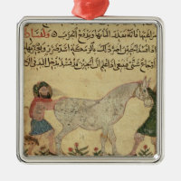 Een dierenarts die een merrie helpt bevallen
