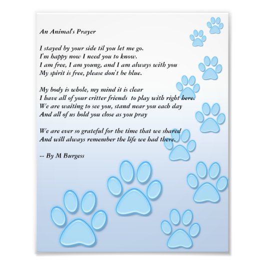 Een dierlijk gebed - foto afdruk (Voorkant)