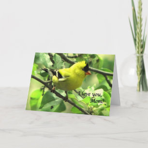 Een distelvink voor Mamma op Moederdag Kaart