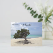 Een Divi Divi-boom op het strand van Eagle in Arub Briefkaart (Staand voorkant)
