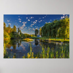 Een dode arm van de Flathead rivier vangt de ochte Poster