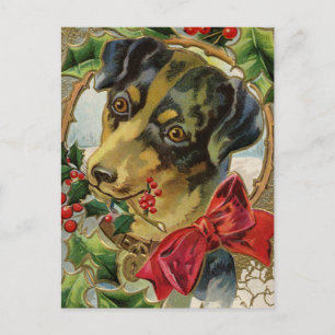 Een Doggy kerstgroet Feestdagenkaart