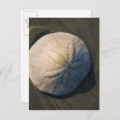 Een dollar van het Zand op het Strand Briefkaart (Voorkant / Achterkant)