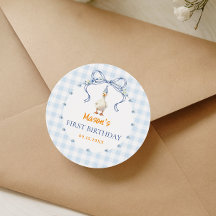 Eén domme gans Jongen eerste verjaardag Blauw geru