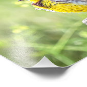 Een donzige weide foto afdruk (Hoek)