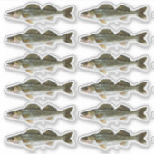 Een dozijn portemonnee snoekvissen sticker (Voorkant)