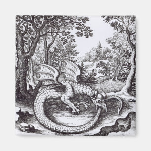 Een draak in het bos magneet