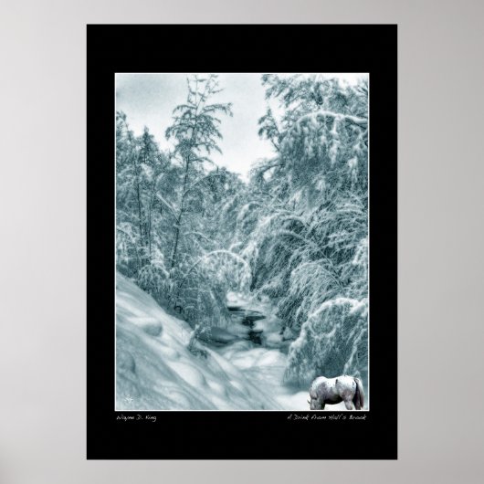 Een Drink van het Poster van de Halls Brook (Voorkant)