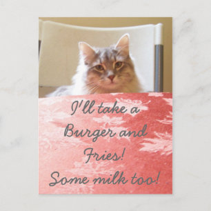 Een droom van een kat! briefkaart