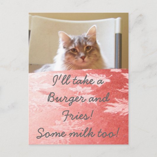 Een droom van een kat! briefkaart (Voorkant)