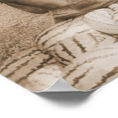 Een droomPoster Poster (Hoek)