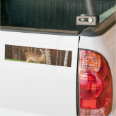 Een droomspeler van de Hunter Bumpersticker (Op Truck)