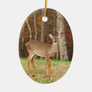 Een droomspeler van de Hunter Keramisch Ornament